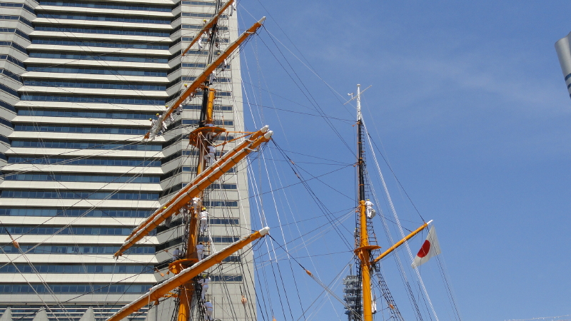 img0006.jpg