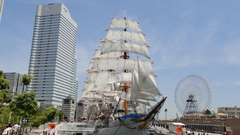 img0017.jpg