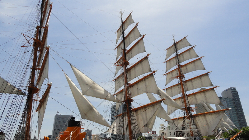 img0043.jpg