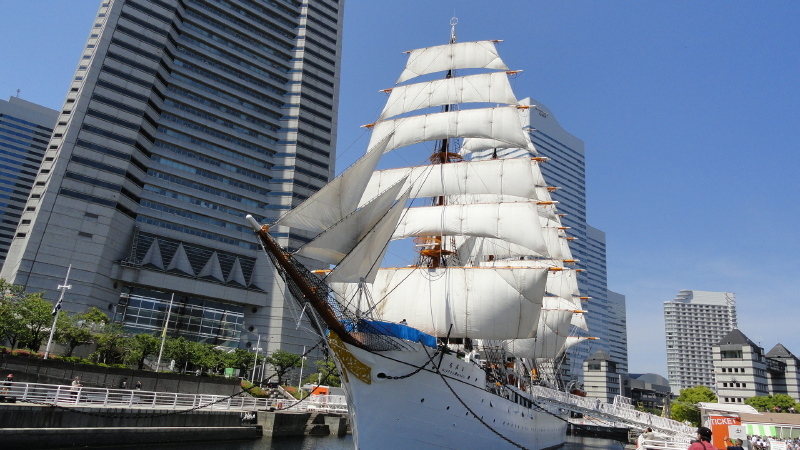 img0055.jpg