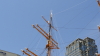 img0004.jpg