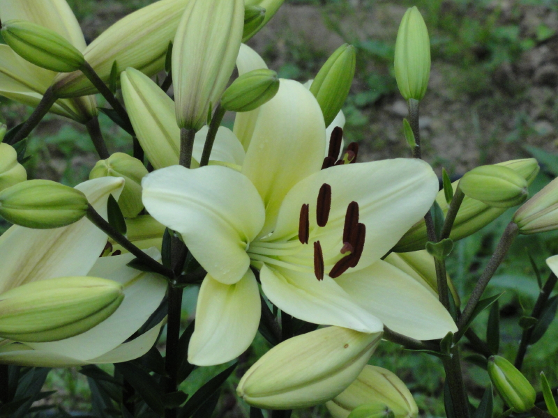 img0004.jpg