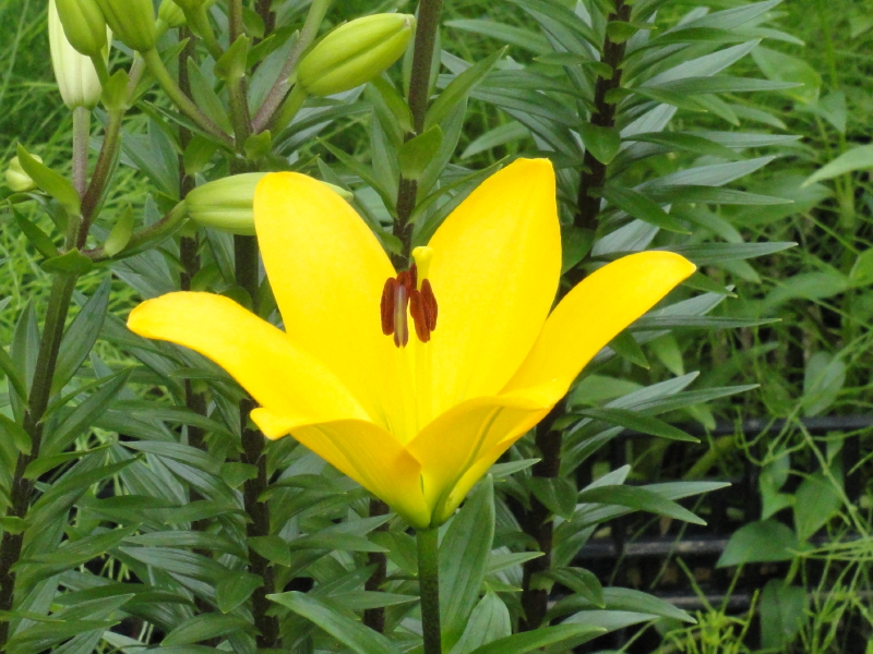 img0005.jpg