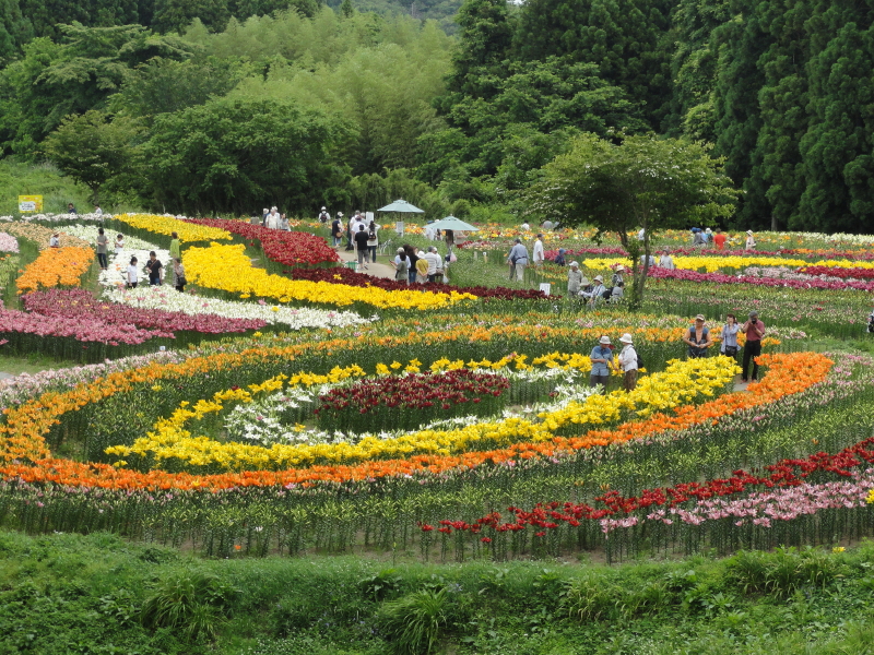 img0012.jpg