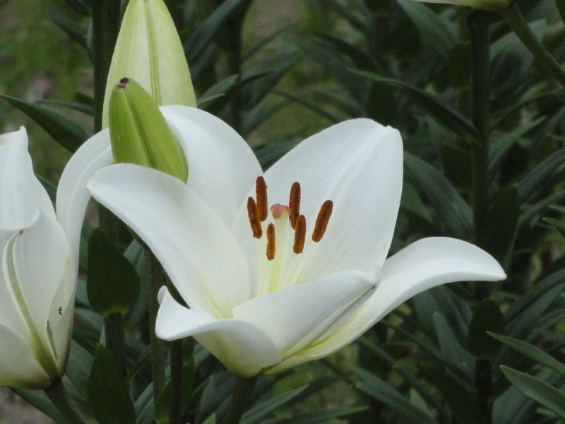 img0013.jpg