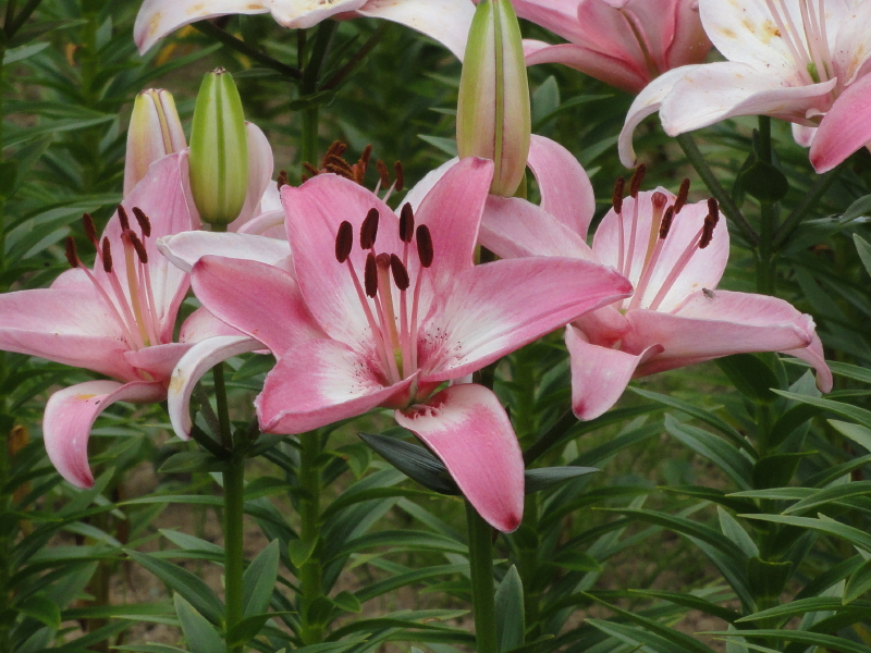 img0024.jpg