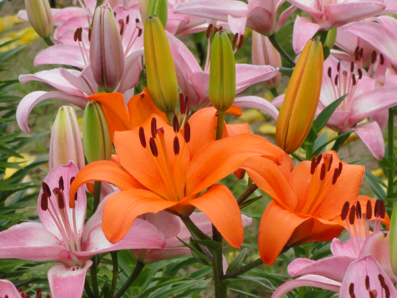 img0025.jpg