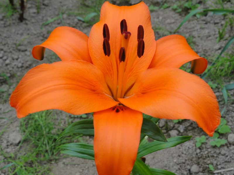img0026.jpg