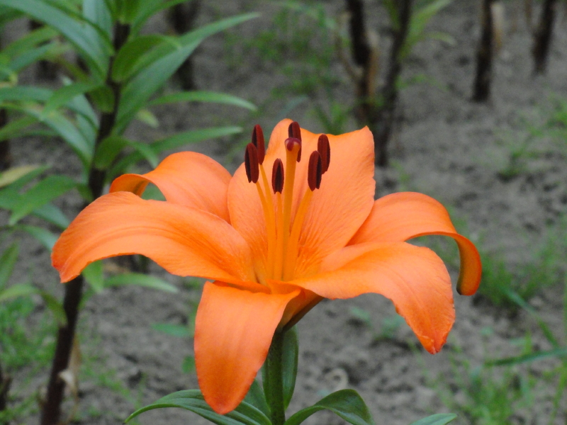 img0027.jpg