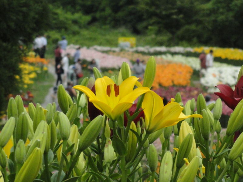 img0033.jpg