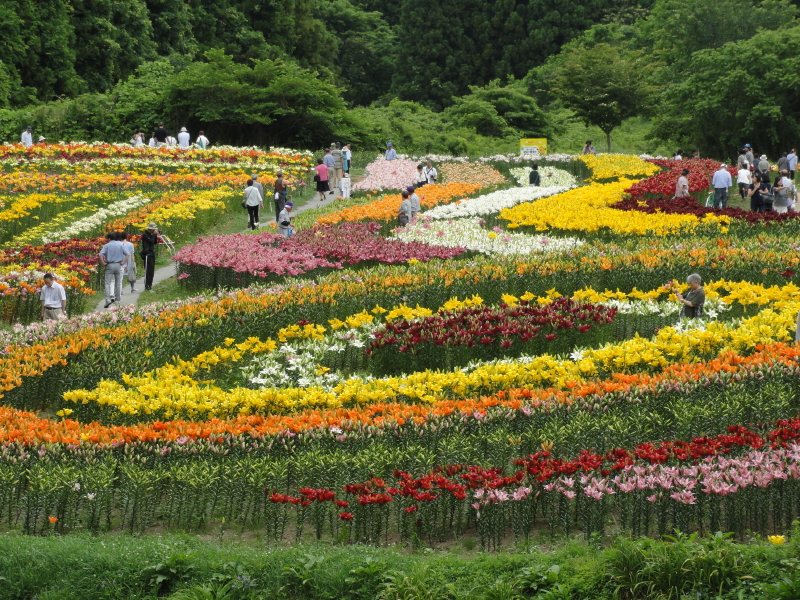 img0036.jpg