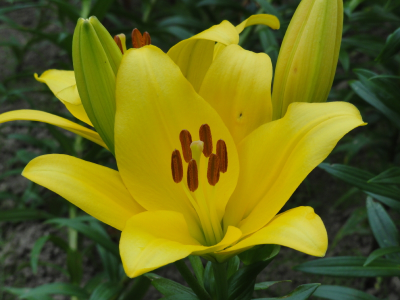 img0038.jpg