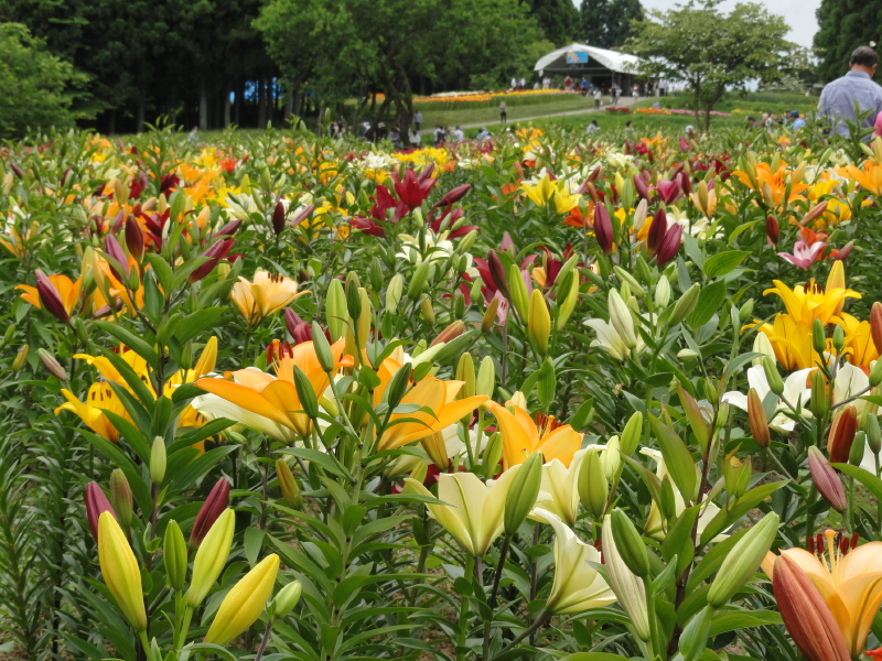 img0057.jpg