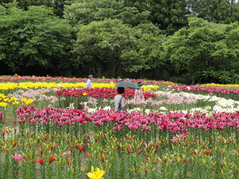 img0064.jpg