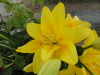 img0002.jpg