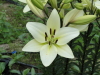 img0003.jpg