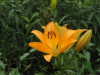 img0007.jpg