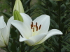 img0013.jpg