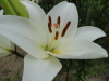 img0015.jpg