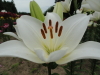 img0016.jpg