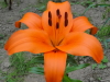 img0026.jpg