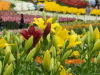 img0032.jpg