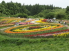 img0035.jpg