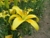 img0043.jpg