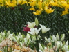 img0047.jpg