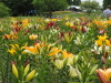 img0057.jpg