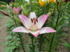img0059.jpg