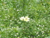 img0067.jpg