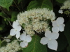 img0073.jpg