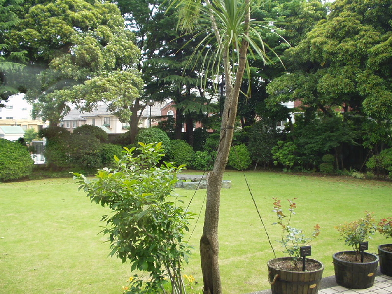 img0002.jpg