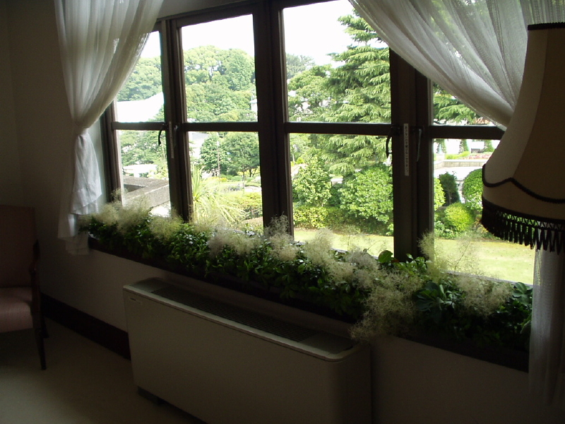 img0009.jpg