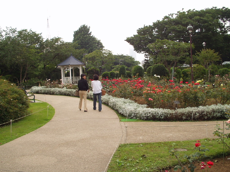 img0016.jpg