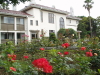img0015.jpg