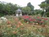 img0017.jpg