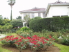 img0018.jpg