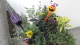 img0004.jpg
