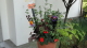 img0005.jpg