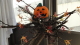 img0017.jpg
