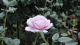 img0048.jpg