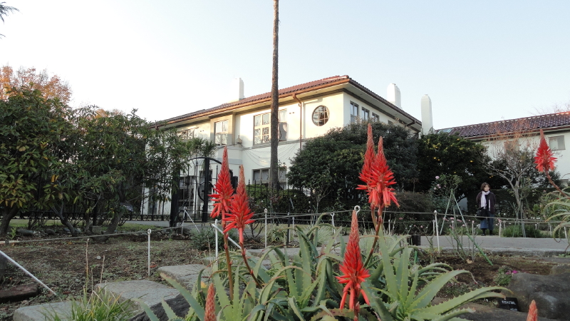 img0029.jpg