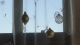 img0028.jpg