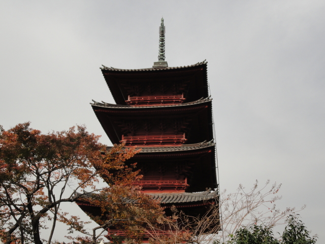 img0017.jpg