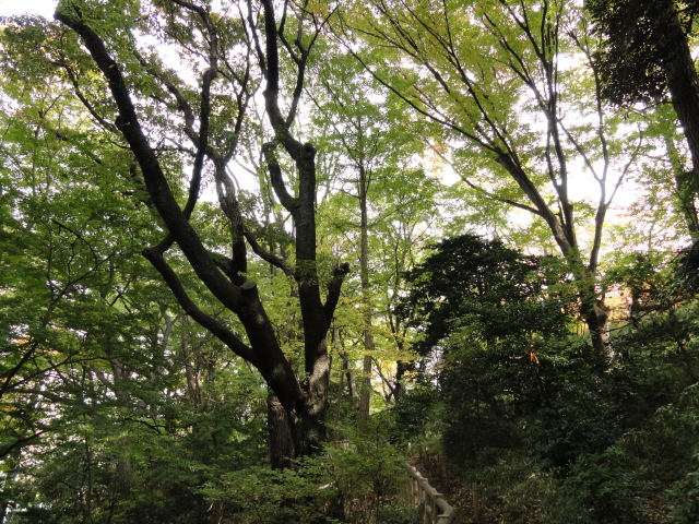 img0023.jpg