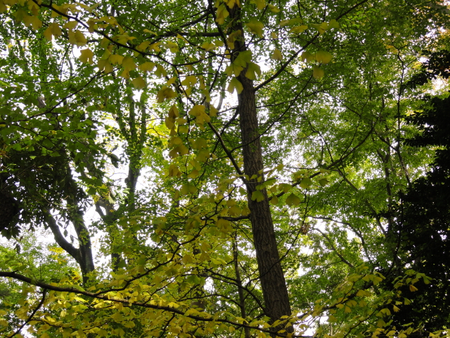 img0024.jpg