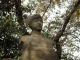 img0003.jpg
