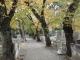 img0021.jpg
